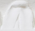FHC16-plasterer_vertical_leaf